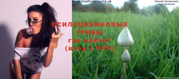 прущие крисы Костерёво