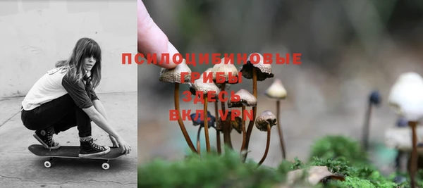 прущие крисы Костерёво