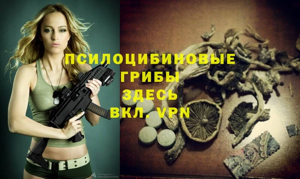 прущие крисы Костерёво