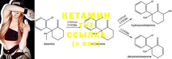 прущие крисы Костерёво