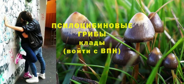 прущие крисы Коряжма