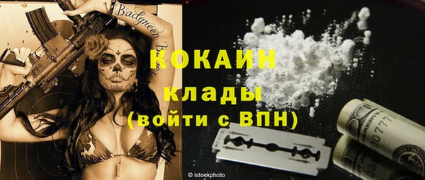 прущие крисы Коряжма